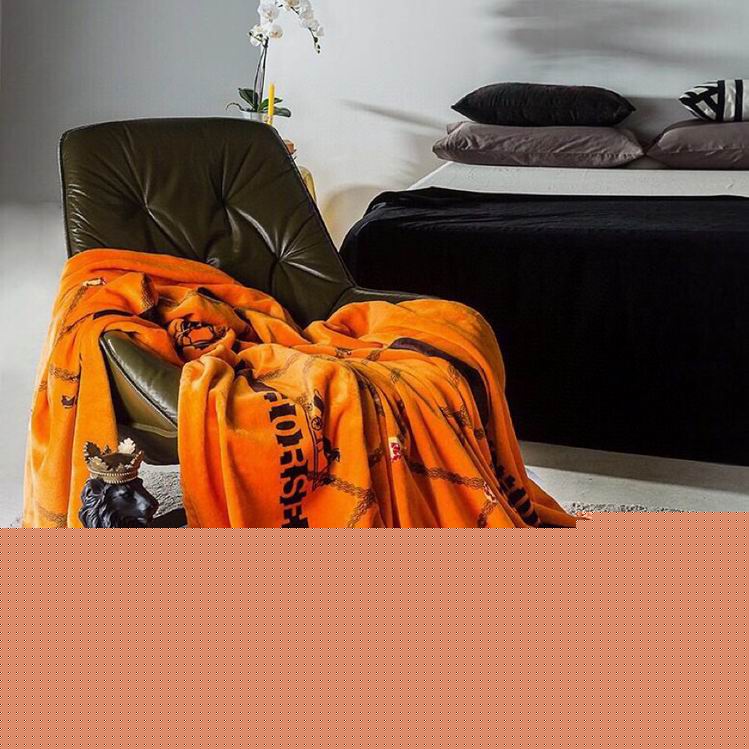 Hermes Blanket sz200X230CM 2.3KG 07